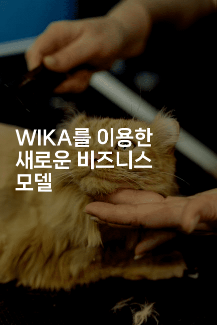 WIKA를 이용한 새로운 비즈니스 모델-하쿠나