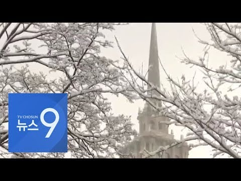 눈 덮인 붉은광장…모스크바 140년 만에 최대 강설량