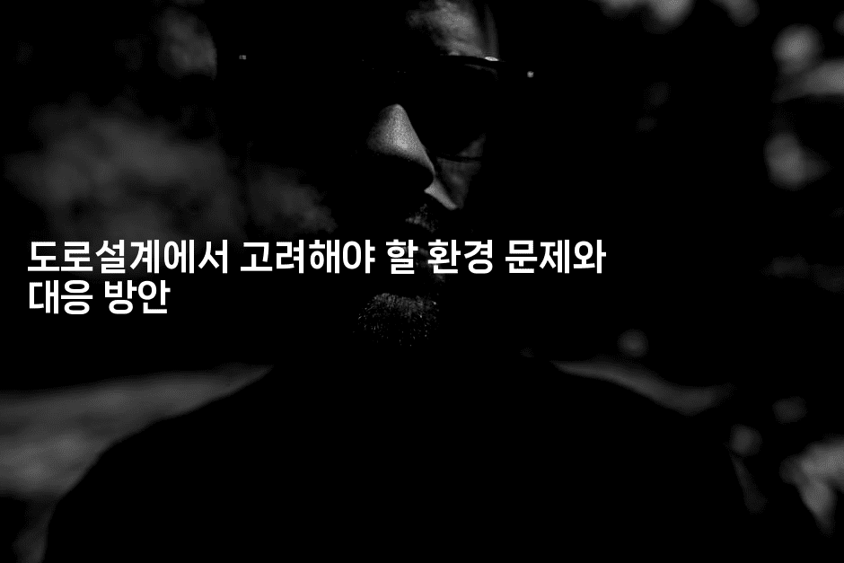 도로설계에서 고려해야 할 환경 문제와 대응 방안2-하쿠나