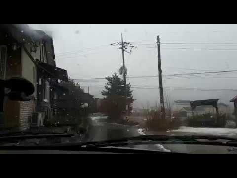 Enjoying Snow while driving, 강설량, 대한민국