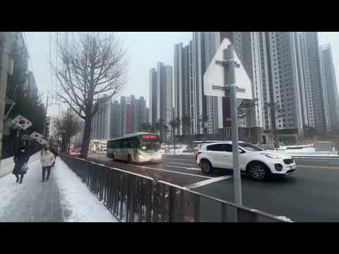 한국의 강설량❄️☃️ 한국에서 사는 설날  snow fall in Korea