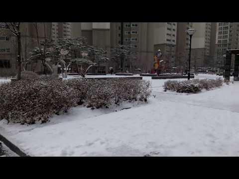 SnowFall, 강설량, 대한민국