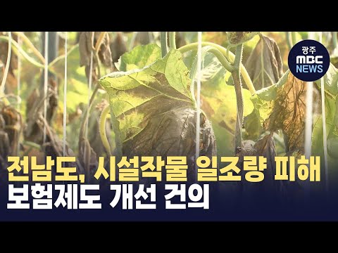 전남도, ‘시설작물 일조량 피해 보험제도 개선’ 건의