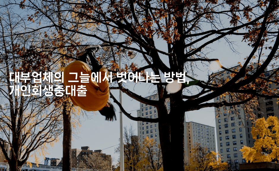 대부업체의 그늘에서 벗어나는 방법, 개인회생중대출-하쿠나