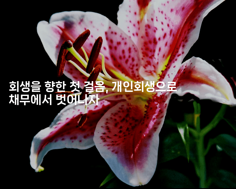 회생을 향한 첫 걸음, 개인회생으로 채무에서 벗어나자-하쿠나