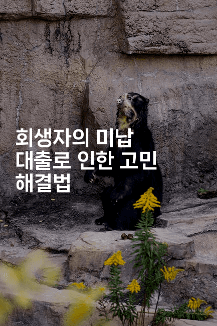 회생자의 미납 대출로 인한 고민 해결법-하쿠나