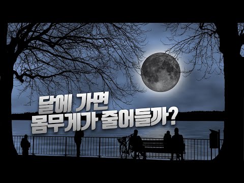 달에 가면 몸무게가 줄어들까?/여러 가지 힘 /중력/중력이 사라진다면?/무게와 질량/