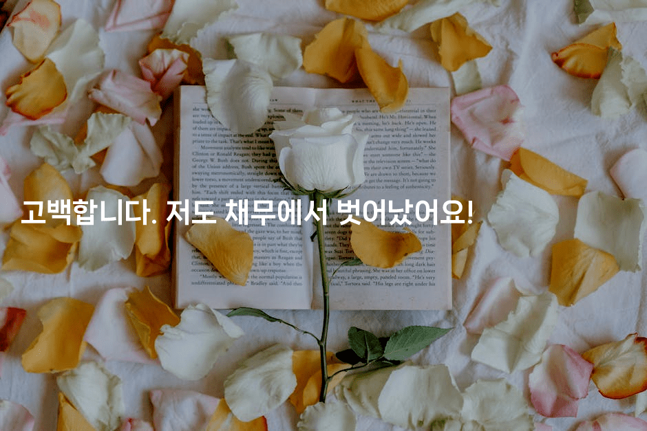 고백합니다. 저도 채무에서 벗어났어요!-하쿠나