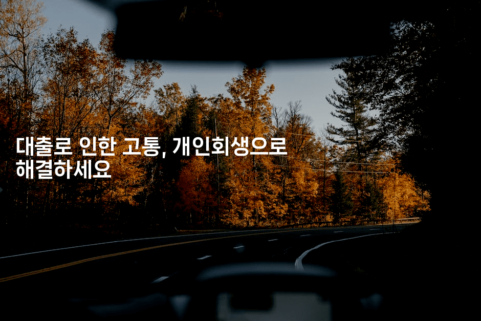 대출로 인한 고통, 개인회생으로 해결하세요-하쿠나