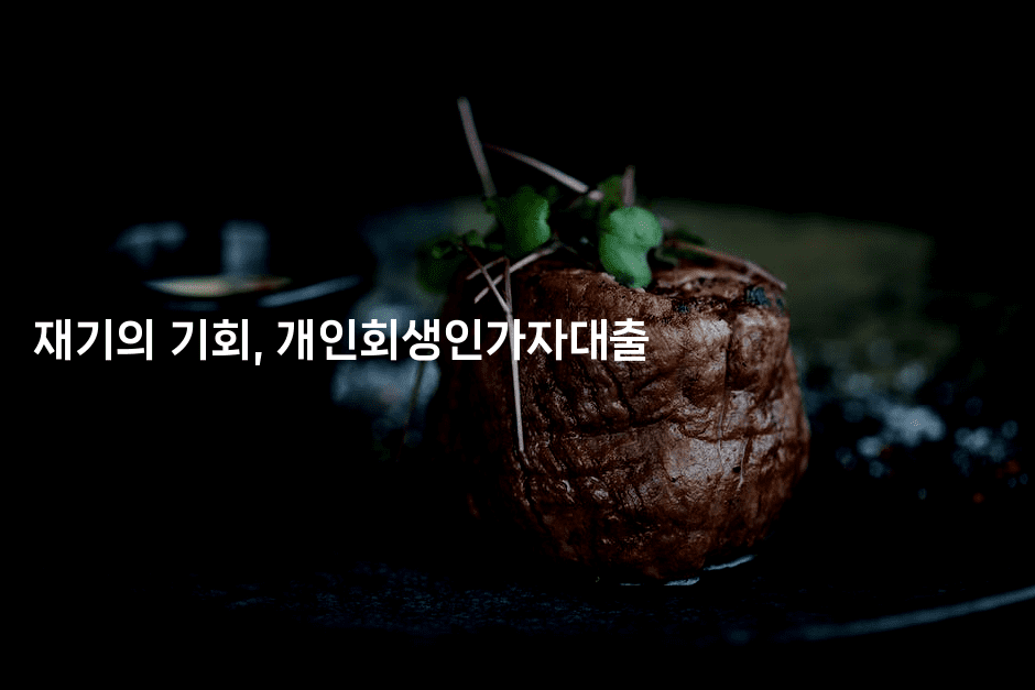 재기의 기회, 개인회생인가자대출-하쿠나