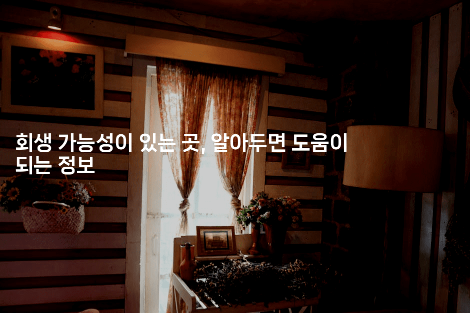 회생 가능성이 있는 곳, 알아두면 도움이 되는 정보-하쿠나