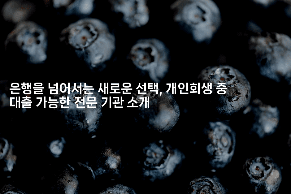 은행을 넘어서는 새로운 선택, 개인회생 중 대출 가능한 전문 기관 소개-하쿠나