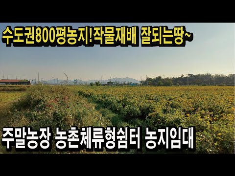 수도권 서울50분 800평농지 작물재배 일조량좋은땅 투자수익 시세좋은땅 나만의텃밭 주말농장 농촌체류형쉼터 전원주택 편안한전원생활 농지연금 농지임대 스마트팜 경매땅공매땅