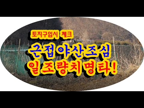 토지구입시 일조량을 방해하는 간과하기쉬운 한가지 체크!