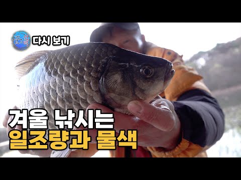 [다시 보기] FTV 꾼의 선택 250화 - 겨울 낚시는 일조량과 물색 (2025.01.13.방송)