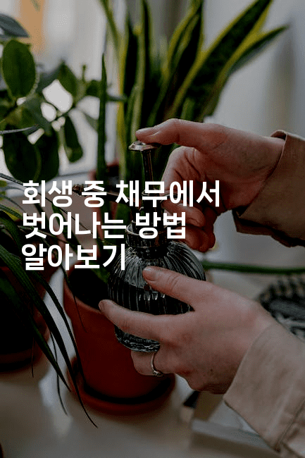 회생 중 채무에서 벗어나는 방법 알아보기-하쿠나