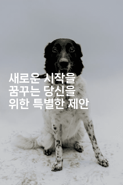 새로운 시작을 꿈꾸는 당신을 위한 특별한 제안-하쿠나